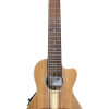 APC Tradicional GT CW