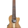 APC Tradicional GT CW