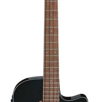 Ibanez AEGB24E BKH