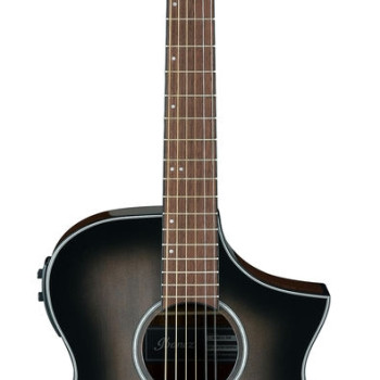 Ibanez AEWC11 TCB