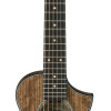 Ibanez EWP14WB OPN