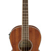 Ibanez PNB14E Open Pore Natural