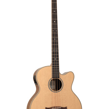 Tanglewood TR AB BW