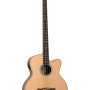 Tanglewood TR AB BW