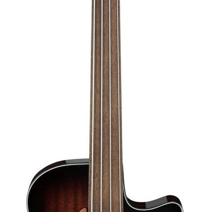 Ibanez AEGB24FE Mahogany Sunburst High Gloss