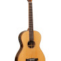 Tanglewood Java TWJP E