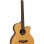 Tanglewood Java TJ4 CE