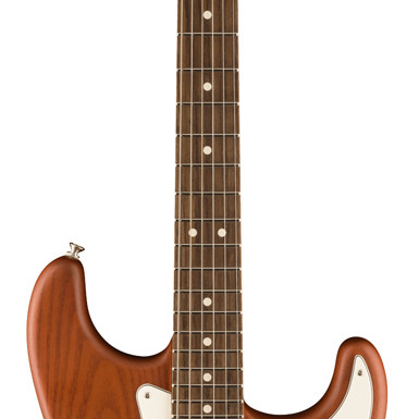 Fender LTD ED American Performer Timber Stratocaster RW Mocha