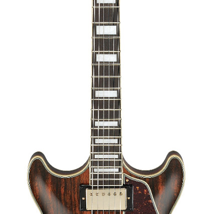 Ibanez Artcore Expressionist AM93ME Natural