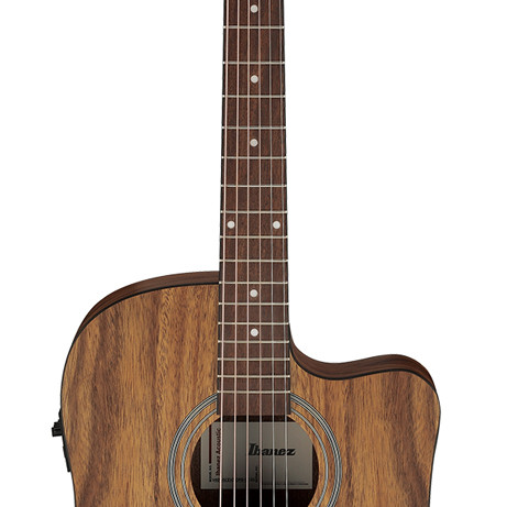 Ibanez V40WSCE Open Pore Brown