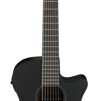 Ibanez AEG721 Black Out