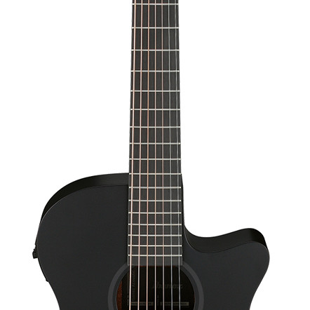 Ibanez AEG721 Black Out