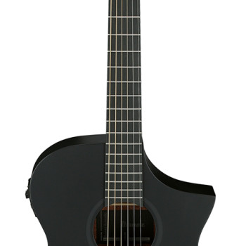 Ibanez AEWC621 Black Out