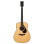 Yamaha FG9 MX