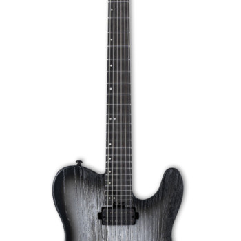 ESP LTD TE 1000 Silver Blast
