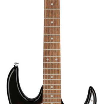 Ibanez Gio GRX40 TFB