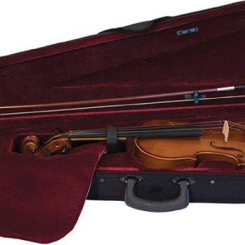 Hofner VIOLA ARCO 16