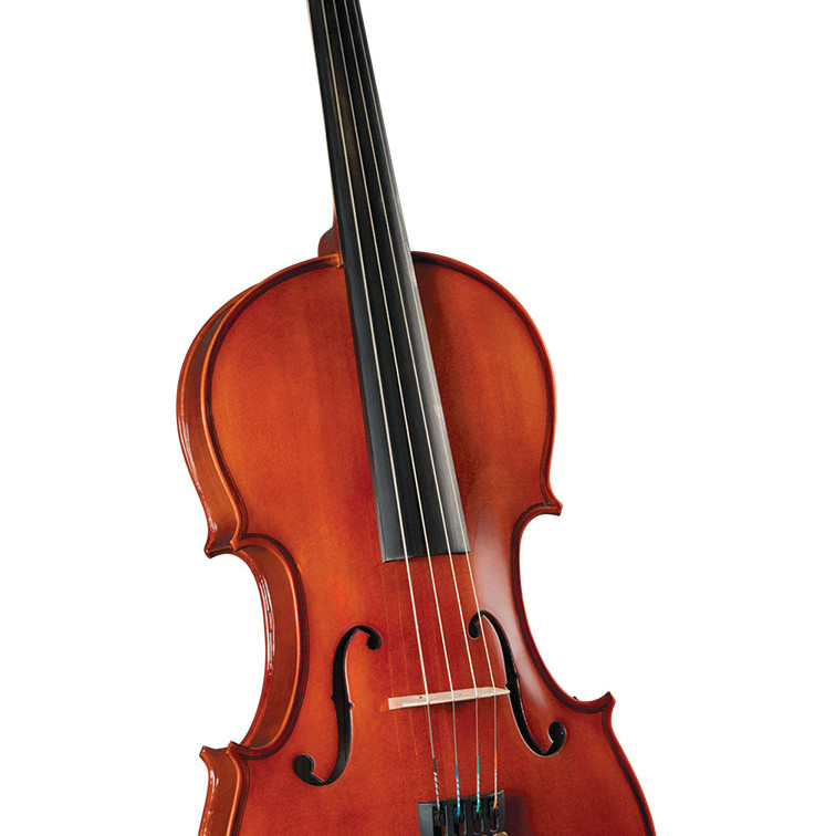 Cervini VIOLA ARCO 14
