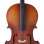 Amadeus VIOLONCELO 3/4 CA 101