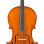 Eastman Strings VIOLONCELO 4/4 Andreas Eastman VC250