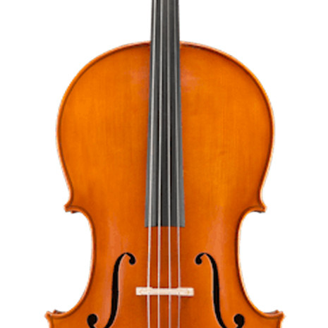 Eastman Strings VIOLONCELO 4/4 Andreas Eastman VC250