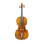 Eastman Strings VIOLINO 4/4 Andreas Eastman VL250