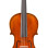 Eastman Strings VIOLINO 4/4 Andreas Eastman VL405