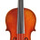 Eastman Strings VIOLINO 4/4 Amsterdam VL3AA