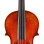 Eastman Strings VIOLINO 4/4 Frederich Wyss VL703G
