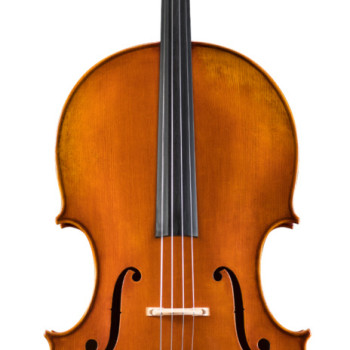 Eastman Strings VIOLONCELO 4/4 Wilhelm Klier VC702G