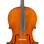 Eastman Strings VIOLONCELO 4/4 Amsterdam VC3AA