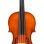 Eastman Strings VIOLA ARCO 16,5