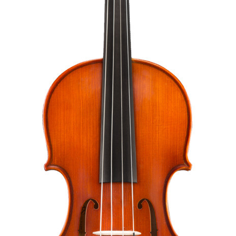 Eastman Strings VIOLA ARCO 16,5