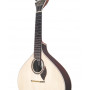 APC GUITARRA PORTUGUESA Lisboa GF312 LS
