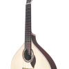APC GUITARRA PORTUGUESA Coimbra 312CB c/estojo