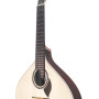 APC GUITARRA PORTUGUESA Coimbra 312CB c/estojo
