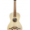 APC VIOLA BRAGUESA 250