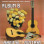 Eurico Cebolo LIVRO Guitarra Magica Album B