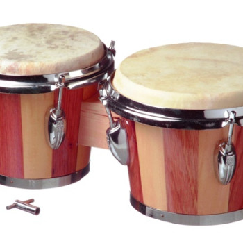 BONGOS 6,5