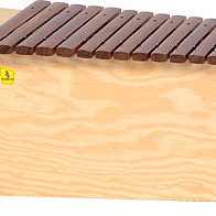 Studio 49 BXG 1000