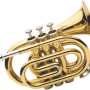 J.Michael TR 350