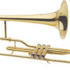 J.Michael TB 600V