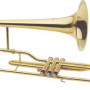 J.Michael TB 600V