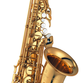 Yamaha YAS 875EX