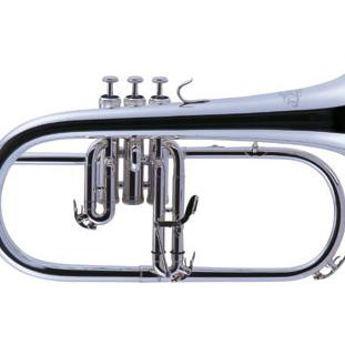 J.Michael FG 550S