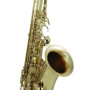 ROY BENSON TS 302