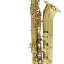 Schagerl B 500L