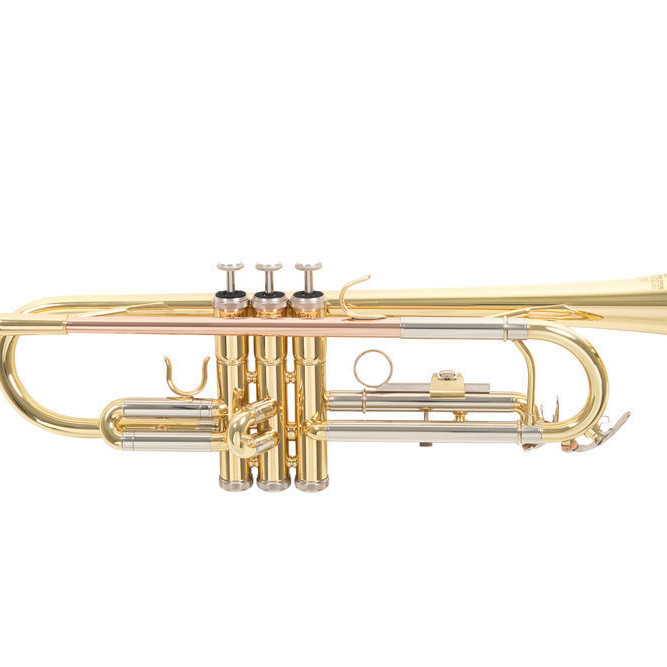 ROY BENSON TR 202