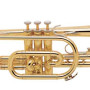 Bach Standard CR301H