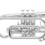 Bach Stradivarius 184SML